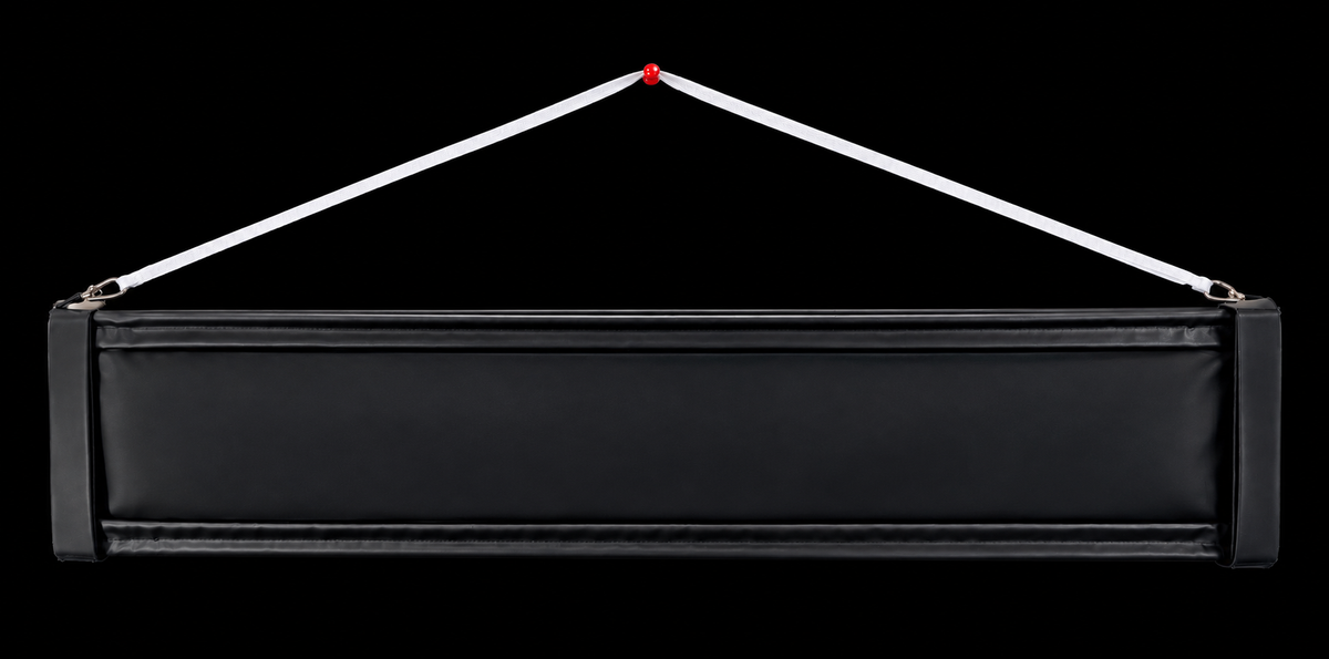 A Sign Bag & Frame